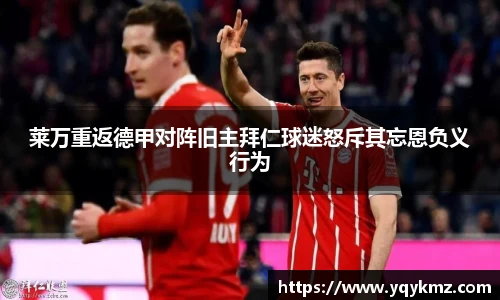 美嘉体育平台