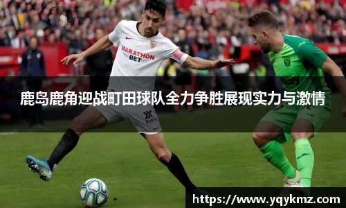 美嘉体育官网