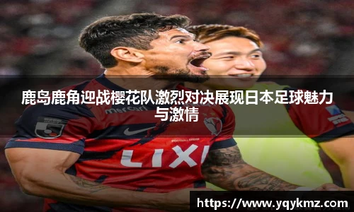 美嘉体育平台
